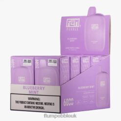 Flum Pebble London 8JBJ218 Blueberry Mint - FLUM PEBBLES 6000 PUFFS 10 PACKS