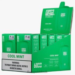 Flum Pebble London 8JBJ226 Cool Mint - FLUM PEBBLES 6000 PUFFS 10 PACKS
