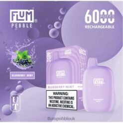 Flum Pebble UK 8JBJ217 Blueberry Mint - FLUM PEBBLES 6000 PUFFS