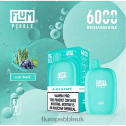 Flum Pebble UK 8JBJ21 Aloe Grape - FLUM PEBBLES 6000 PUFFS
