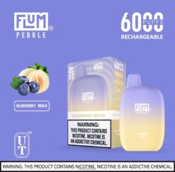Flum Pebble Vape Flavors 8JBJ216 Blueberry Melo - FLUM PEBBLES 6000 PUFFS