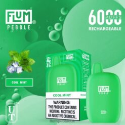 Flum Pebble Vape Flavors 8JBJ224 Cool Mint - FLUM PEBBLES 6000 PUFFS
