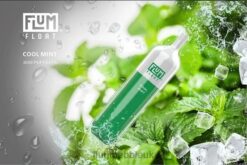 Flum Pebble Vape HDX8Z25 Cool Mint - FLUM FLOAT 3000 PUFFS