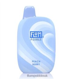 Flum Pebble Vape Review 8JBJ239 Peach Berry - FLUM PEBBLES 6000 PUFFS
