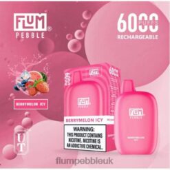 Flum Pebble Vape Review 8JBJ27 Berrymelon Icy - FLUM PEBBLES 6000 PUFFS