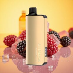 Blackberry Ice Alibarbar Ingot 9000 Puffs 22ml E-liquid 2350mah Battery