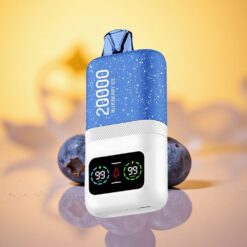 Blueberry Ice Aivono AIM MAGIC 20000 Puffs Dual Mesh Coils LCD Display