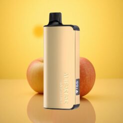 Double Apple Alibarbar Ingot 9000 Puffs 22ml E-liquid 2350mah Battery Disposable Vape