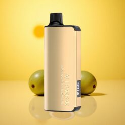 Passionfruit Mango Lime Alibarbar Ingot 9000 Puffs 22ml 2350mah Disposable Vape