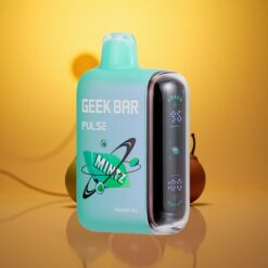 Mintz GEEK BAR Pulse 15000 Puffs 16ML USB Type-C