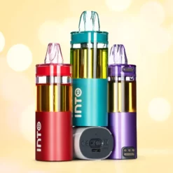 INTO 50K Puff Disposable Vape - 19mL 50mg - Foger Compatible
