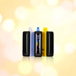 SBX 25K Disposable Vape | Dual Mesh Coils & HD Display-20mL